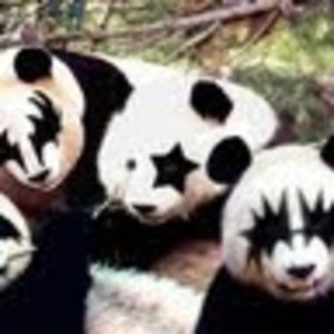 Meet your Posher, Ellen